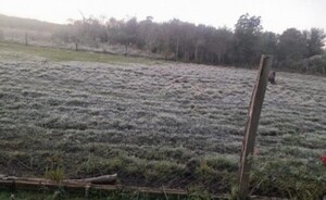 Suman 4 víctimas del frío: Agricultor murió por hipotermia
