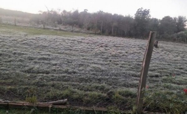 Suman 4 víctimas del frío: Agricultor murió por hipotermia