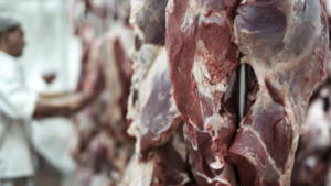 Exportación de carne suma USD 1.305 millones