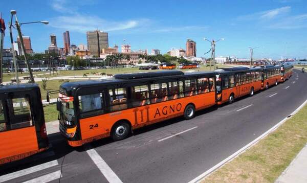 Subsidio al Transporte: ¿quién lo controla y cómo se decide el pago a empresarios?