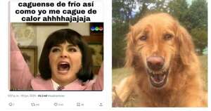 La Nación / Team frío vs. team calor: los memes que dividen al país en pleno invierno