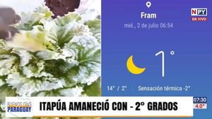 Frío polar en el sur provoca estragos y pérdidas económicas para agricultores