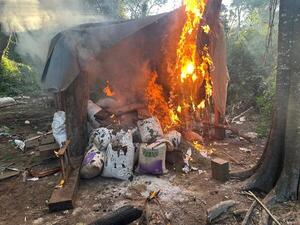 Golpe al narcotráfico en Itapúa: incineran más de 9 toneladas de supuesta marihuana