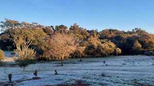 Segundo día de intensas escarchas en Itapúa con temperaturas en 0°C
