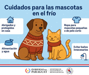 Recomiendan cuidados especiales para mascotas ante las bajas temperaturas