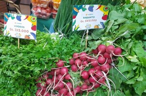 Ofertan productos del campo en ferias simultáneas en San Lorenzo y Asunción - .::Agencia IP::.