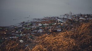 El mundo genera 220 millones de toneladas de plástico y recicla menos del 10%