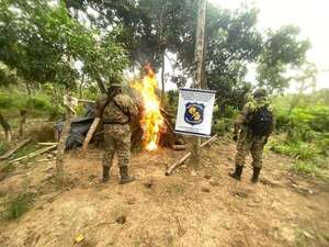 Eliminan 20 hectáreas de marihuana en el Parque Nacional Paso Bravo  - Nacionales - ABC Color