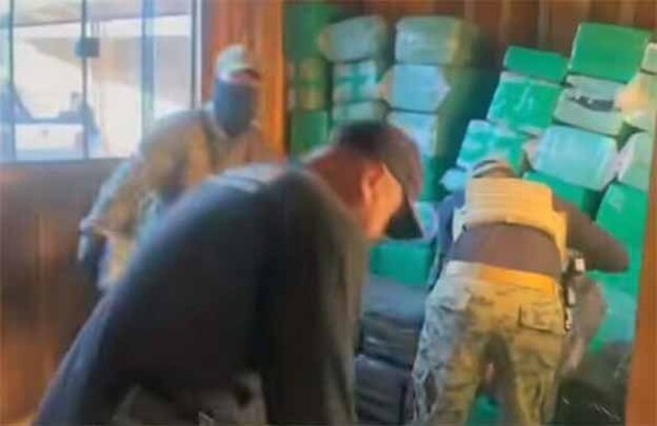 Incautan en Canindeyú más de 2.800 kilos de marihuana y detienen a principal acopiador | DIARIO PRIMERA PLANA