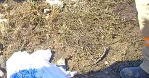 La Nación / Hallan el cuerpo de una recién nacida abandonado a orillas del río Paraguay