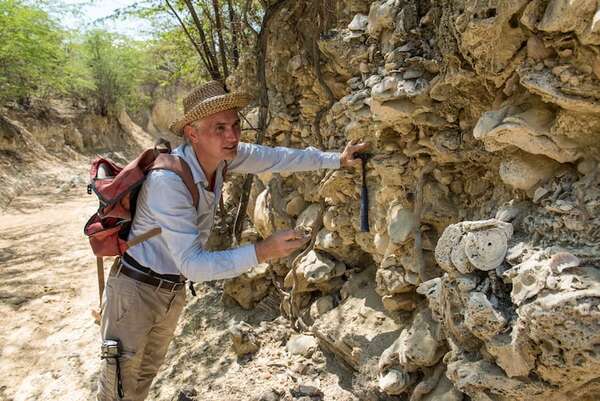 El Caribe no fue siempre así: lo que la ciencia halló en arrecifes fósiles - Ciencia - ABC Color