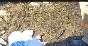 Diario HOY | Recién nacida hallada muerta en el río: investigan a responsables