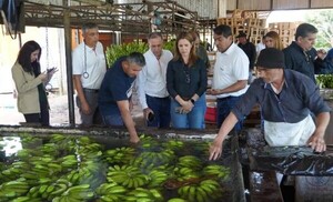 Crédito Agrícola de Habilitación impulsa desarrollo de más de 44.000 familias paraguayas - .::Agencia IP::.
