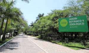 Preocupa la cesión y el abandono de espacios verdes como el Jardín Botánico