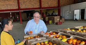 La Nación / Exportadores  deben cumplir nuevas reglas para envíos de frutihortícolas a Argentina