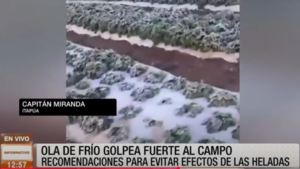 Ola de frío golpea fuerte al campo y preocupa a productores