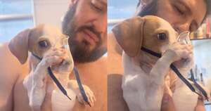 La Nación / Perrito con problemas respiratorios enterneció a TikTok