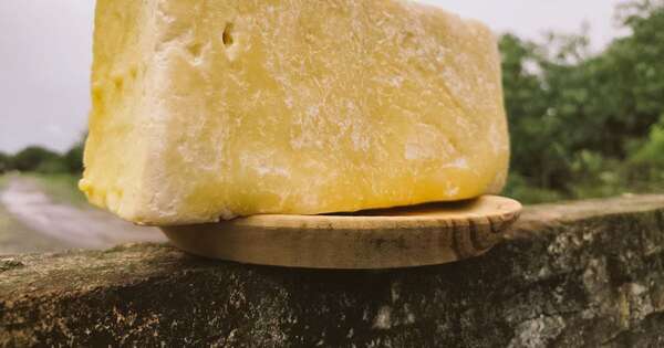 La Nación / Quesú Paraguay: joya gastronómica renace con sabor y color auténticos en el Chaco