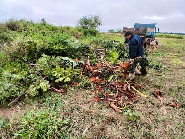 Santa Rosa: municipio recurrirá a cámaras para combatir vertederos de basuras clandestinas - Nacionales - ABC Color