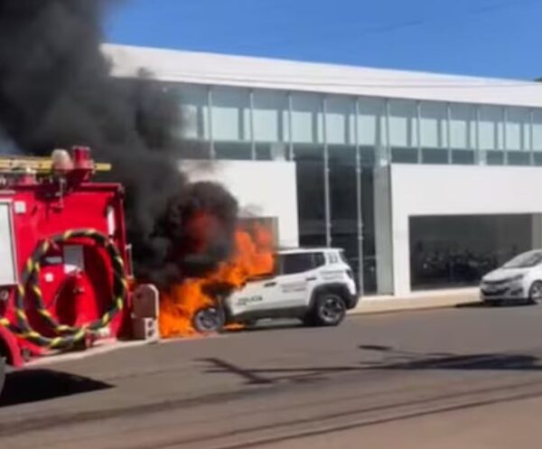 Patrullera vólai okái en pleno movimiento en la “Terraza”