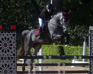 Hipismo: Saltos con armonía, en el inicio de la Copa Mitad de Año - Polideportivo - ABC Color