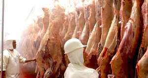 La Nación / Senacsa: aumento de envíos de carne brindó dinamismo y mayor trabajo