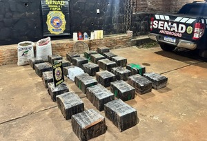 Incautan casi dos toneladas de marihuana y desarticulan campamentos narcos en el Parque Nacional Caazapá