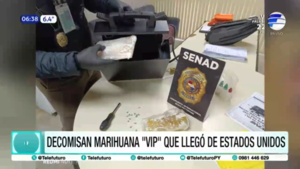 Decomisan marihuana "VIP" que llegó de Estados Unidos
