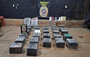 Incautan casi dos toneladas de marihuana y desarticula campamentos narcos en Parque Nacional