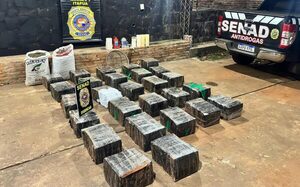Incautan casi 2 toneladas de marihuana y desarticulan campamentos narcos del Parque Nacional Caazapá - .::Agencia IP::.