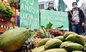 Federación Nacional Campesina donará este viernes productos a personas necesitadas – Prensa 5
