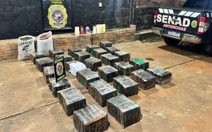 Incautan casi 2 toneladas de marihuana en área protegida de Caazapá - ADN Digital