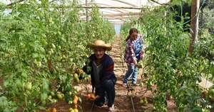La Nación / Créditos del CAH generan crecimiento y dinamismo económico a las familias, destacan