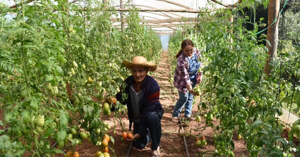 La Nación / Créditos del CAH generan crecimiento y dinamismo económico a las familias, destacan