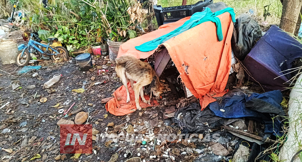 RESCATAN A PERRO EN ESTADO DE ABANDONO EN CAMBYRETÁ