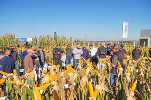 Glymax realizó su “Conexión Maíz 2025” en Santa Rita con foco en tecnología, capacitación y cercanía