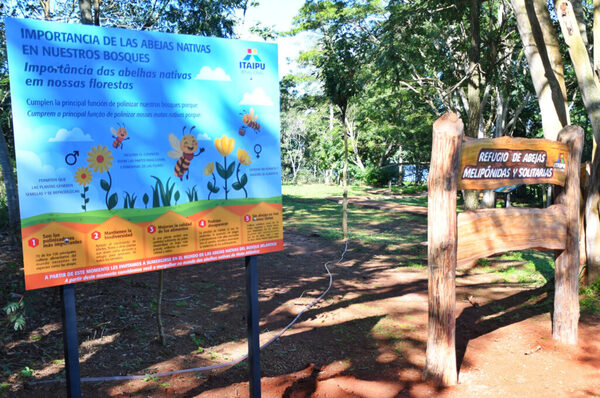 Inauguran nuevo atractivo para conservación de abejas nativas en el Refugio Biológico de Mbaracayú - ADN Digital