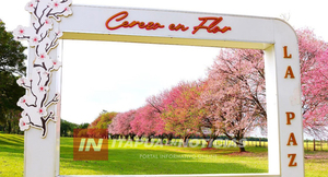 TODO LISTO PARA EL GRAN FESTIVAL NACIONAL DEL CEREZO EN FLOR EN LA PAZ