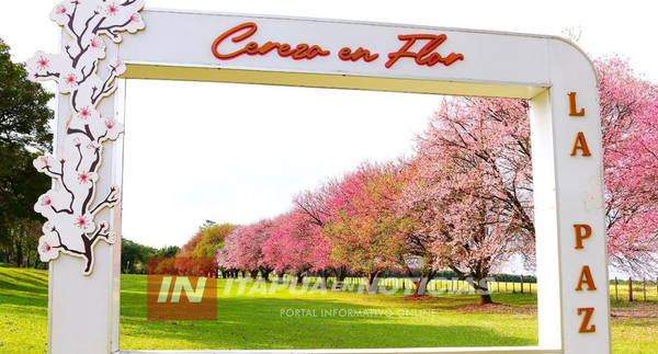 TODO LISTO PARA EL GRAN FESTIVAL NACIONAL DEL CEREZO EN FLOR EN LA PAZ