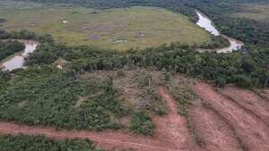 Denuncian presunta deforestación en Maracaná y piden intervención del Mades - Nacionales - ABC Color