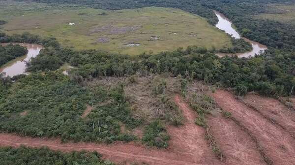 Denuncian presunta deforestación en Maracaná y piden intervención del Mades - Nacionales - ABC Color
