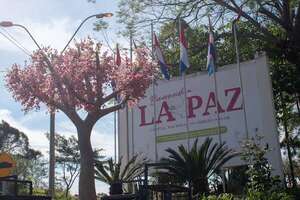Turismo interno: La Paz, en Itapúa, ofrece colorida explosión de flores del cerezo - Viajes - ABC Color