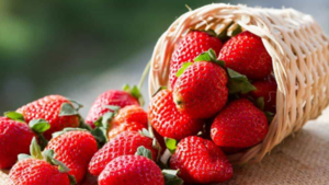 Beneficiosa frutilla: excelente aliada contra la diabetes y el envejecimiento prematuro