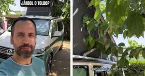 La Nación / ¿Toldo o árbol? Experimento de un arquitecto revela cuál da más sombra