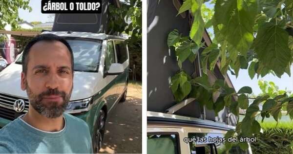 La Nación / ¿Toldo o árbol? Experimento de un arquitecto revela cuál da más sombra