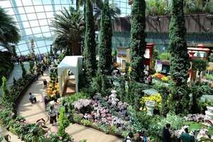 Cloud Forest, el biodomo maravilloso de Singapur - ABC Revista - ABC Color