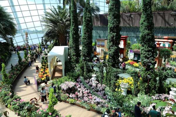 Cloud Forest, el biodomo maravilloso de Singapur - ABC Revista - ABC Color