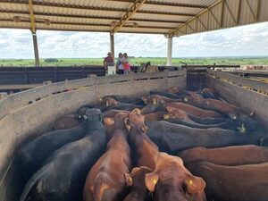 Chile no pondría restricciones a la carne por vacunación, aunque alerta la pérdida de ciertas oportunidades