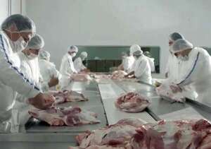 Exportaciones de carne porcina trajeron 58% más de divisas - Económico - ABC Color