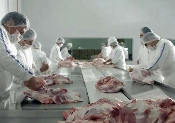 Exportaciones de carne porcina trajeron 58% más de divisas - Económico - ABC Color
